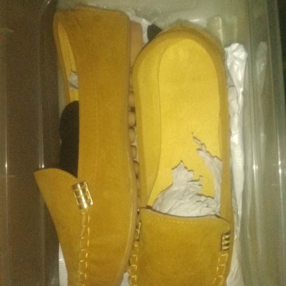 Shoe - Picture 1 of 4